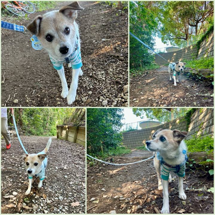 7817c7fd 041b 41be a5c4 3e5be42f2357 1716000007881