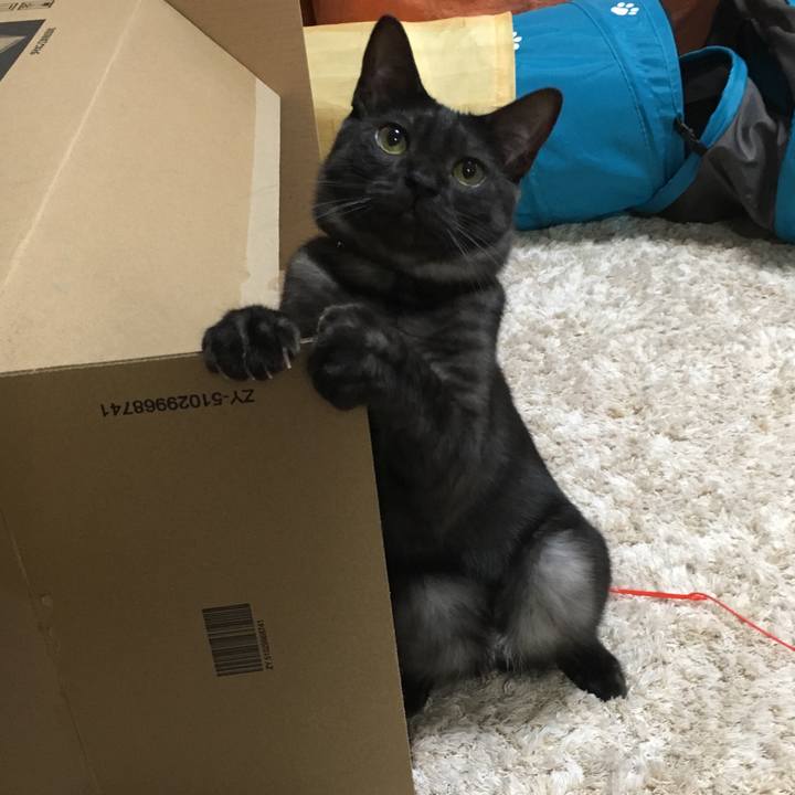 7817ffb3 88c5 4501 befd 635d37b60312 1549333423129