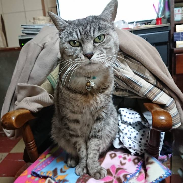 7818252e 8309 4c12 aa31 62c23c86b76e 1574027628621