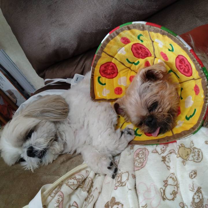 7818504d 7e14 4669 b793 bf9c72258c4c 1702197432418