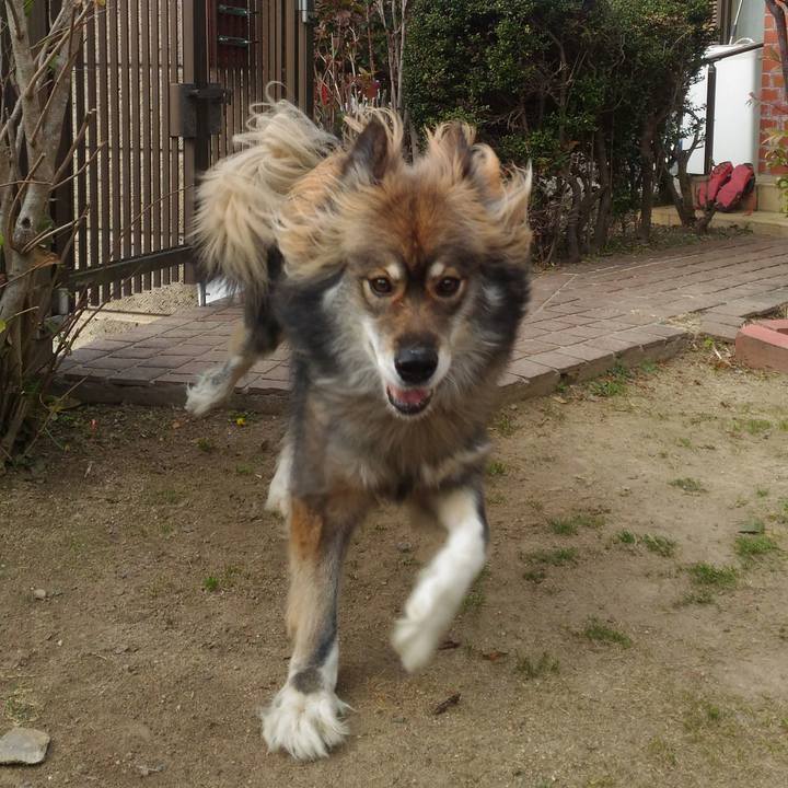 7818513b 0595 4973 bc60 7610de81df66 1576899882844