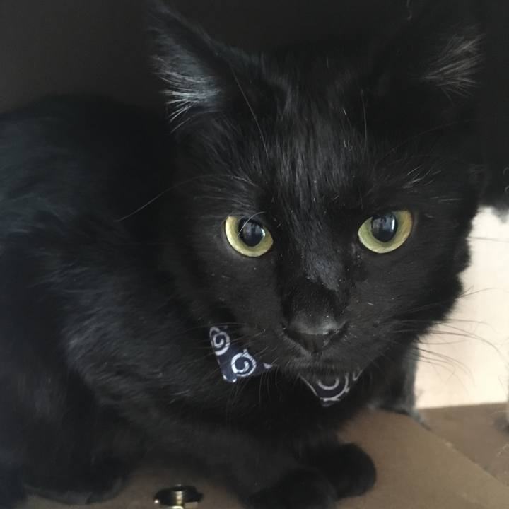 781860fd 3370 4f38 a146 75ac1c5c8233 1550234148418