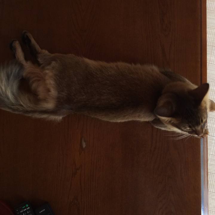 78186605 c4d5 49a1 a932 7e3b2754d08e 1591521945367