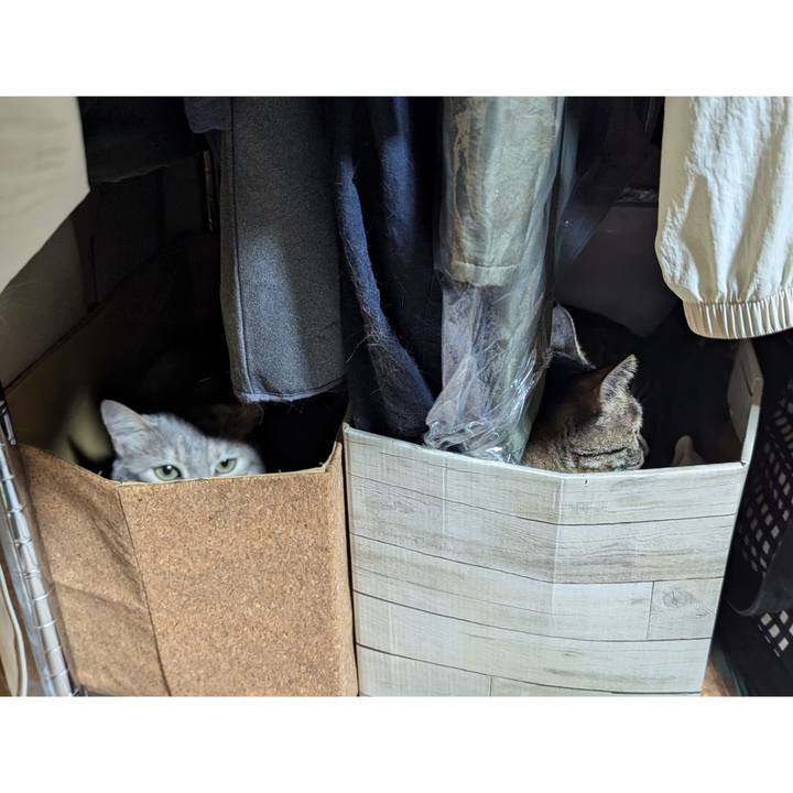 781898c0 c32f 4414 84dd 4c92d4f3f975 1719556593047