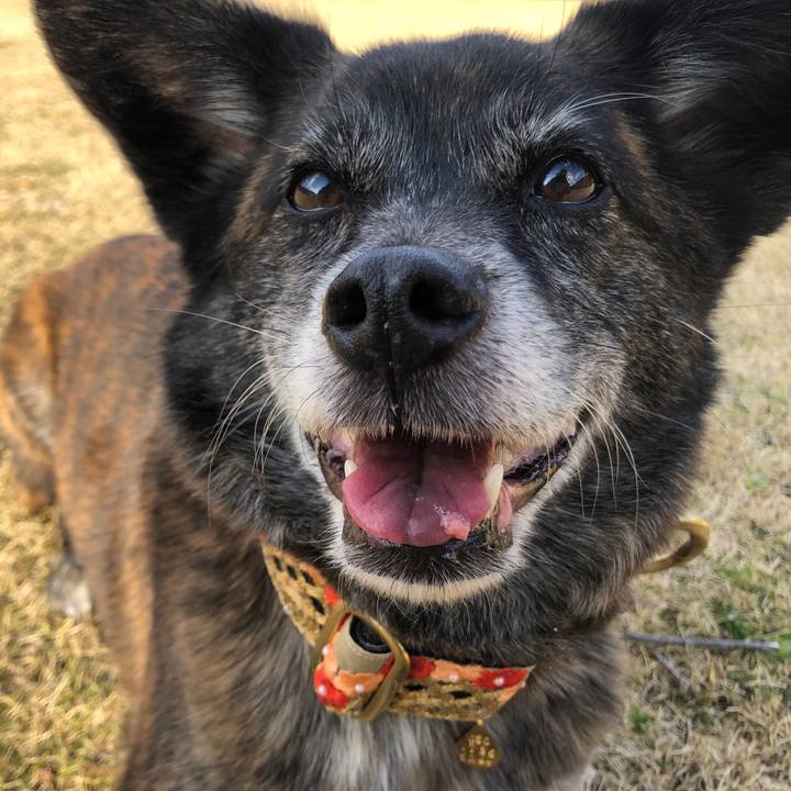 7818a2de f07b 4ad9 bc48 1a34dacda456 1614899722040