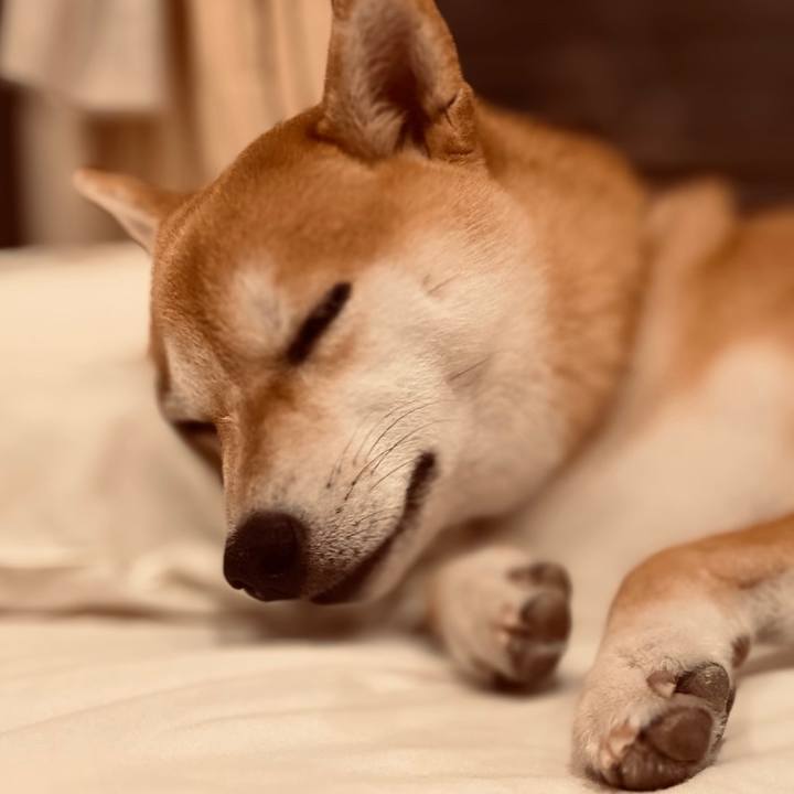 7818b321 5052 4886 9cbc a385bcd0fb3d 1661603483538