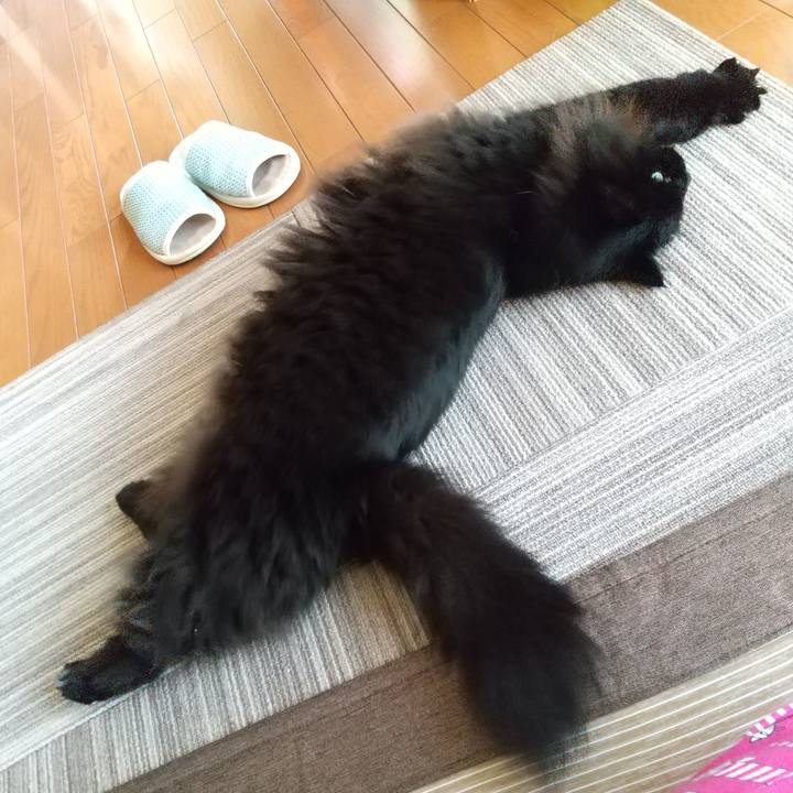 7818d53e ce95 44c0 bf8d 3f1370cfdba6 1633301956282