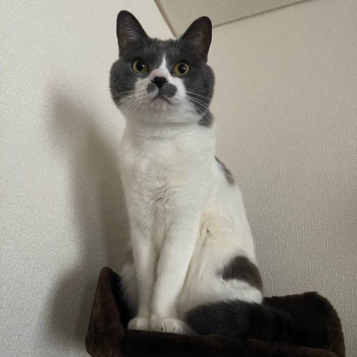 7818d5fe a9bb 49e5 a780 19b9a39ba694 1673665253086