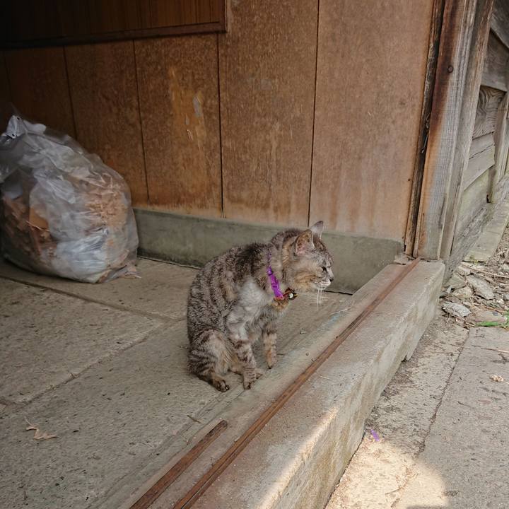 7818f5a0 912c 441f 9071 86c39b6abff4 1596608451571