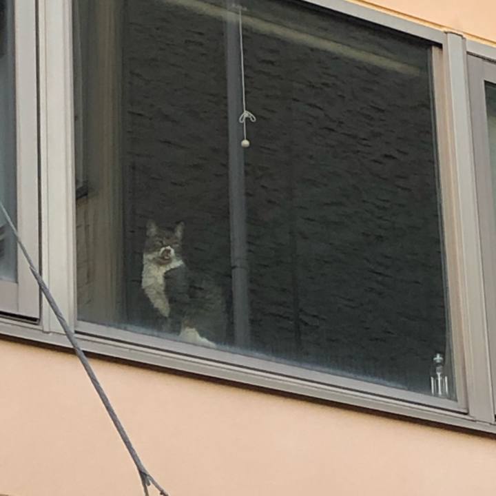 7818f76e c97e 4157 8317 2d4f63c14078 1604628830498