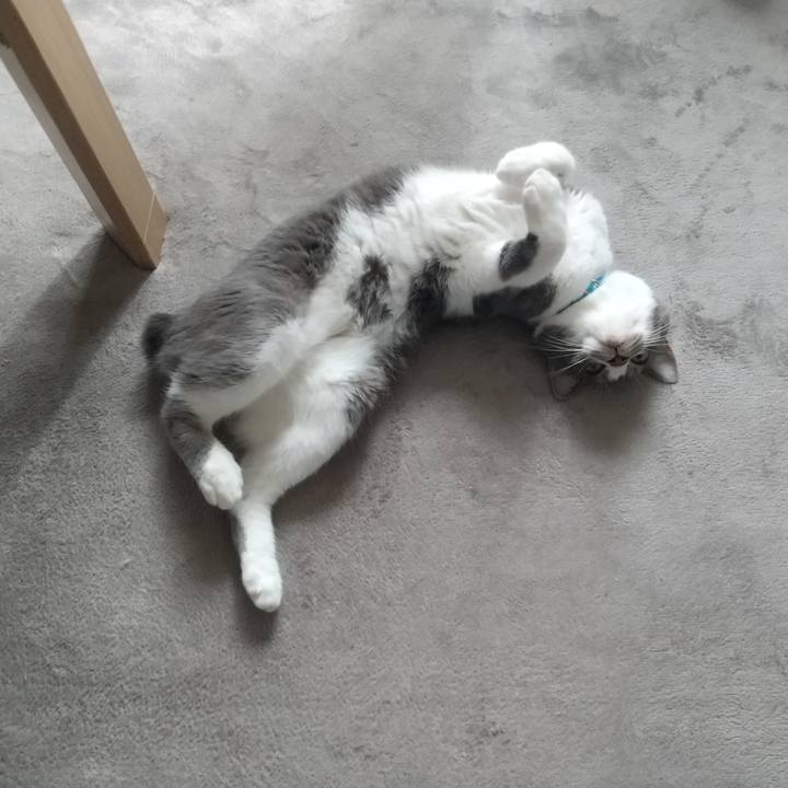 78190296 481e 4872 acef a40edc9ad3de 1624250739279