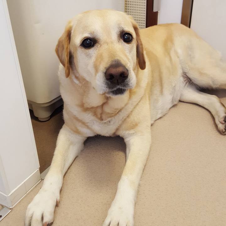 78190adb ede2 4147 95cd ef49b6b28076 1591961066631