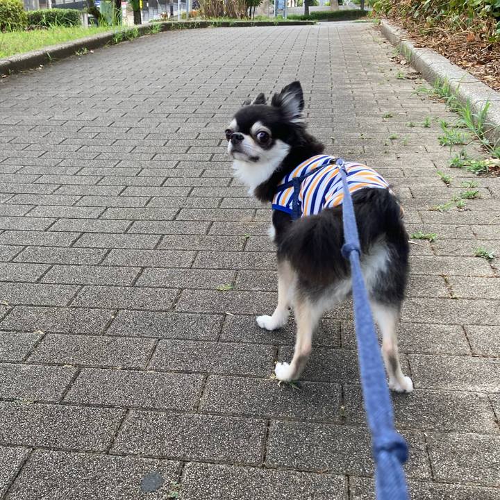 78192cd5 82a6 4d15 a00d 75b78de7b648 1691768149852