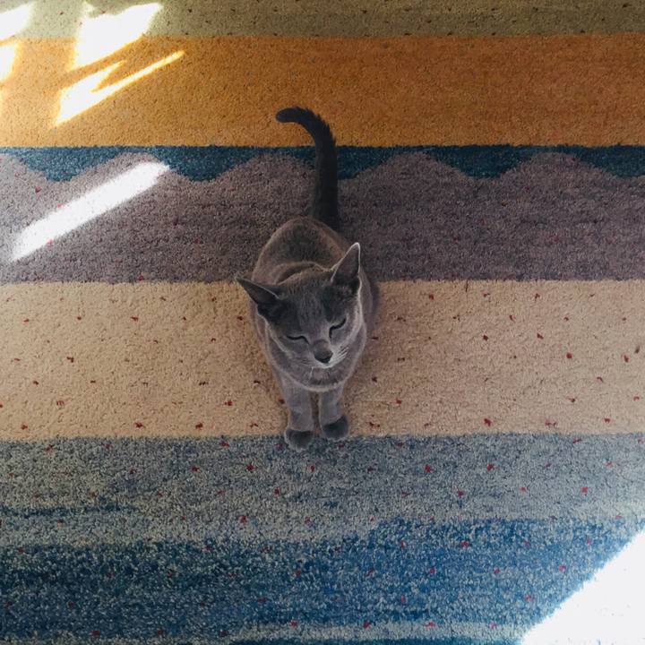 781937db cf06 4043 b1fa 2a18fb650150 1515712504601