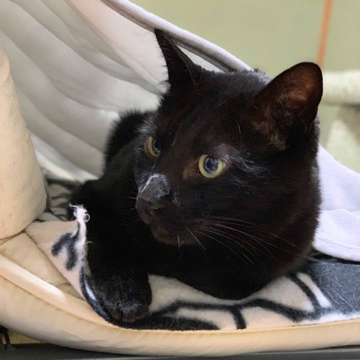 7819468c 1d2d 4255 9930 114e925acd9c 1548031799722