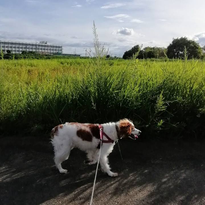 78195f20 5c8f 4aaf a602 431630cf4bc6 1626522412259