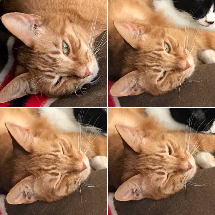 7819627c 92a9 4a2a b97d 4a21ffa67660 1550122598738