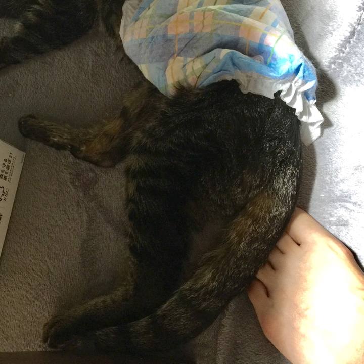 7819815e 8eb9 4cab bfb7 c1992a4a9354 1534908046331