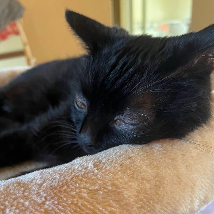 78199bc2 b9c2 4f8d b6bd 7cb44d5e111a 1690725376952