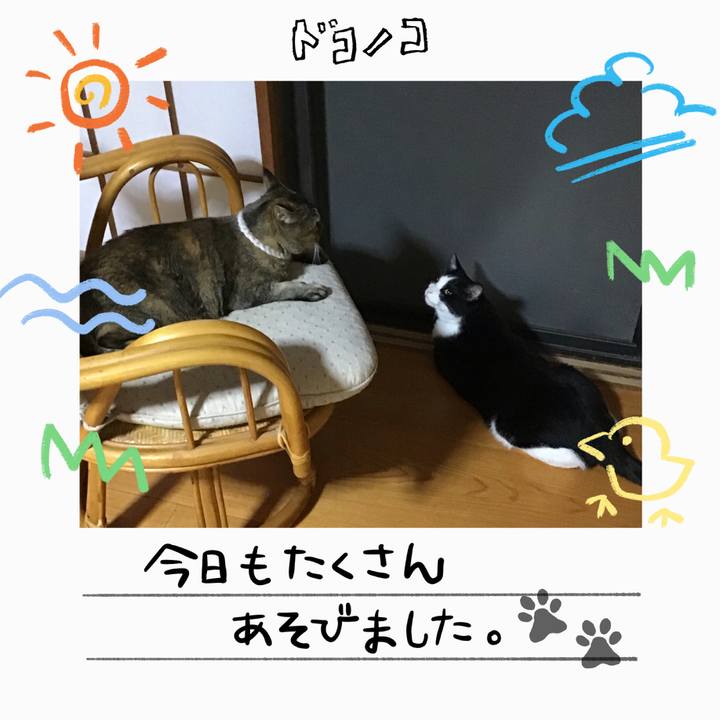 7819a103 6f9a 4580 b9d5 b4b00e637843 1755080641712