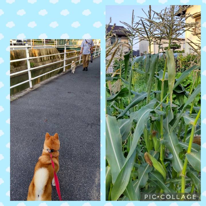 7819aaf0 d7bb 4feb aef3 a6c098ee858c 1751059703092