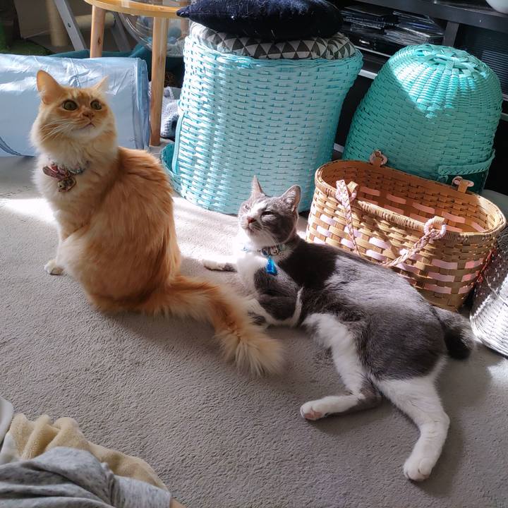 7819b7f3 d6a4 4f03 a79e 20857370941d 1668828988058