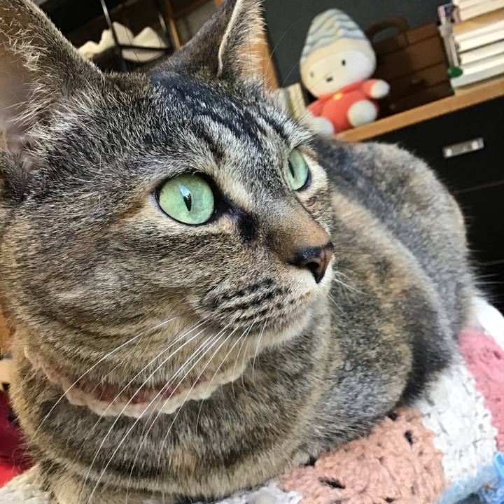 7819ee1a 0acd 4fb8 ac15 36f66ef922de 1714813776338