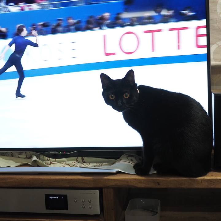 781a0d95 9bac 47d8 9eb8 818fb6bb46af 1541825829769