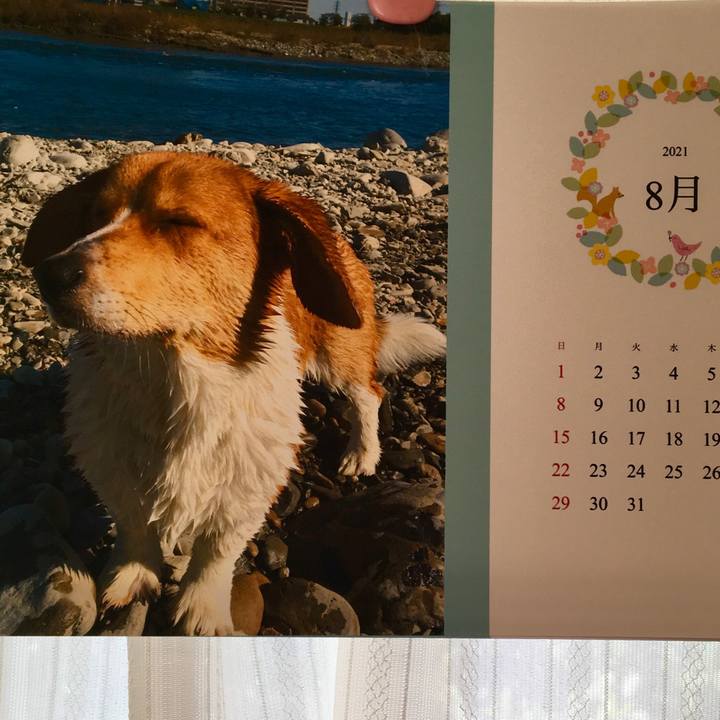 781a1b8d 6d70 4e20 97e9 4fea52d10843 1627777681932