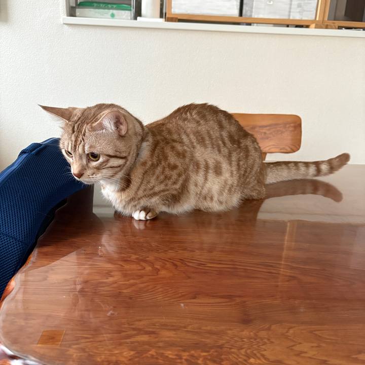 781a2673 0c85 4c2a 9e27 35c65c79973e 1762554527443