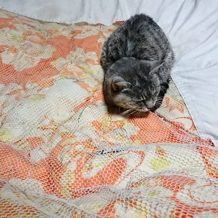 781a3390 f35b 4513 8629 a810187494e7 1573734882497