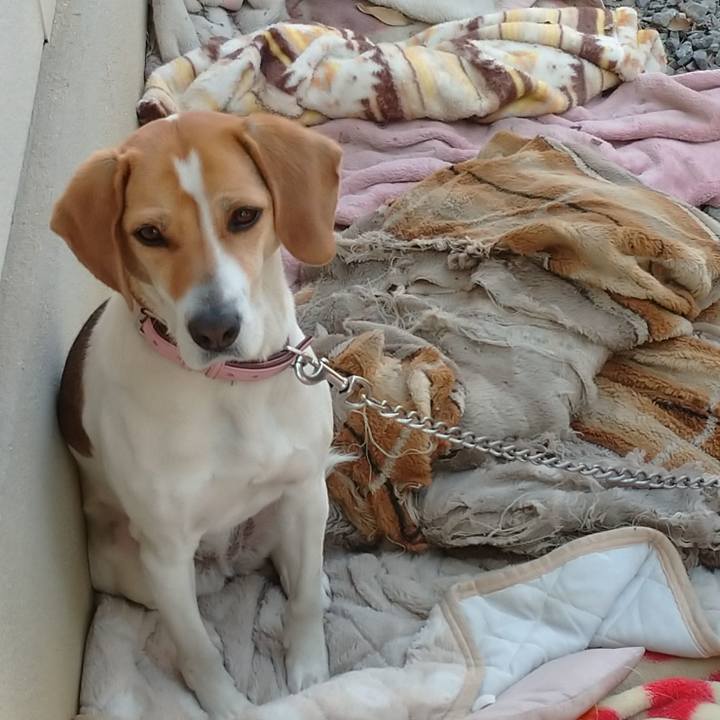 781a7e79 3f6d 4e33 8132 2c56e508633f 1586067309404