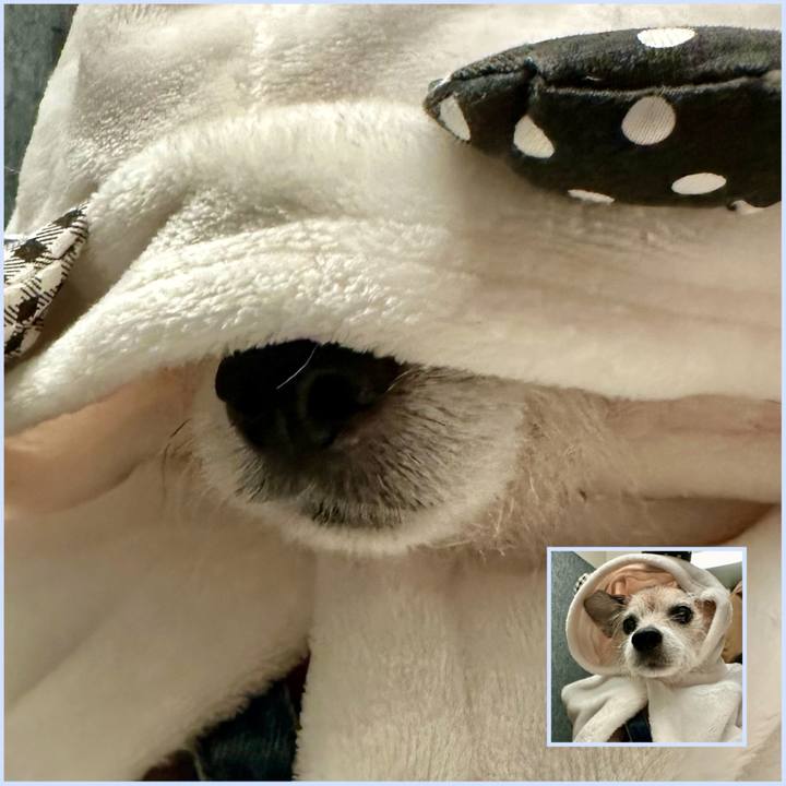 781aa7af 32b6 4d9e 894d 3950e930f5b2 1705449755378