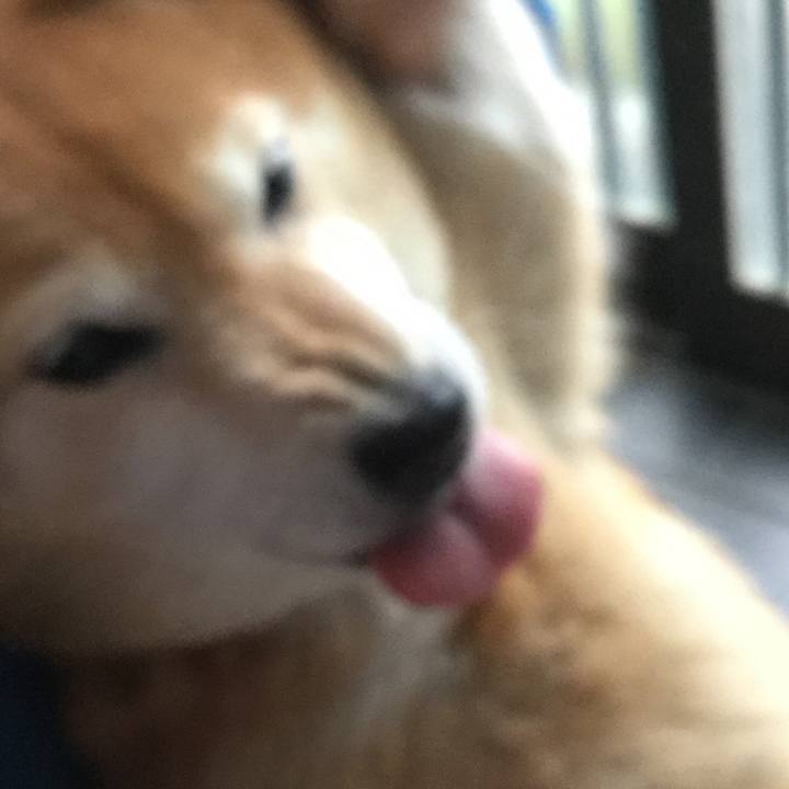 781aea3b 0399 4567 98b9 ba934a8467d0 1617509101528