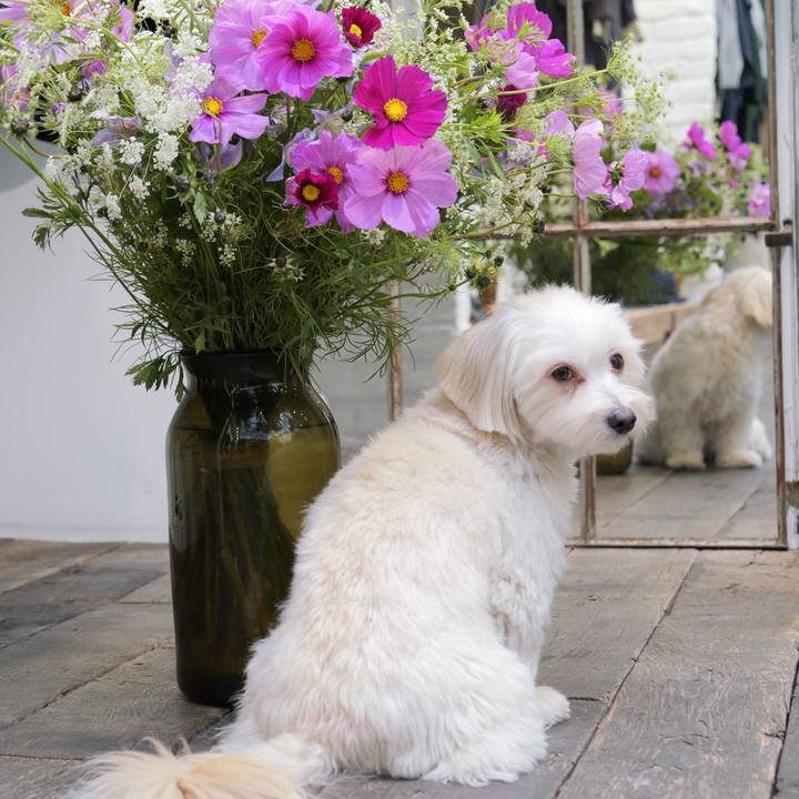 781b4fe6 0464 4021 b4fd d14551655917 1761623331009