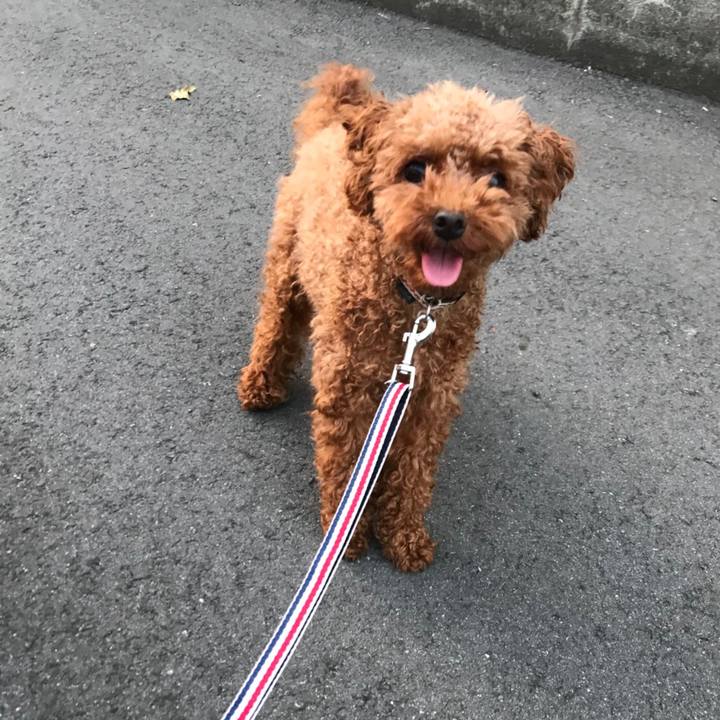 781bc632 22e6 4d17 949f c288e20569e4 1533329575146