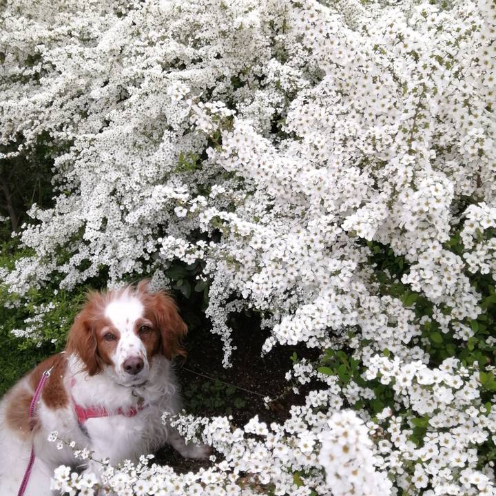 781bd217 e3f5 40d9 ac46 ddb2b6c9b672 1615882846500