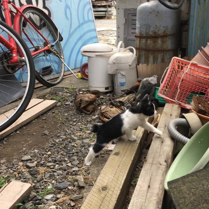 781c25ea a8d9 4b07 8e4e d09922b61bac 1626586159956