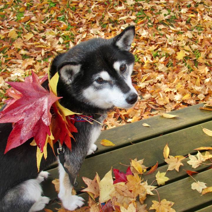 781c40fd 4264 489d 8e6b 03d703ff0d55 1635901887713