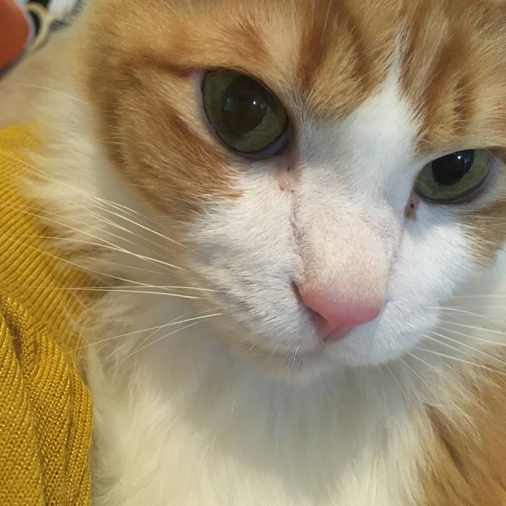 781c6061 1ba8 459e b009 c3db46b7c9ae 1578650865196