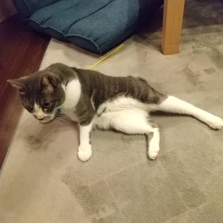 781c8546 84dd 45ae 8b48 939179dc6948 1602339425416