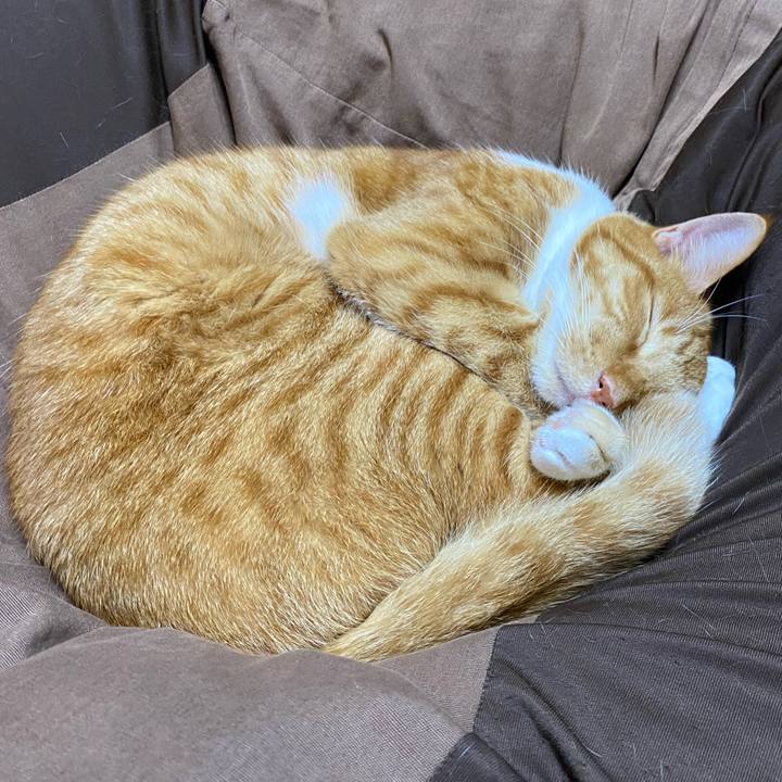 781c9c70 778d 4b04 be70 393f9e84a53a 1634634475551