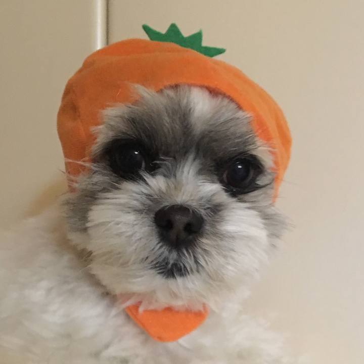 781d24f0 d828 46fc b50b adfe373fe64e 1518735966710