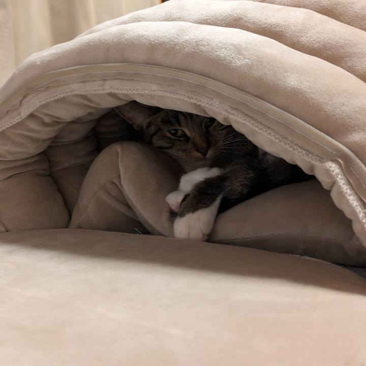 781d27b1 a08e 4949 86e9 a45f5a6d3d7d 1734338046866