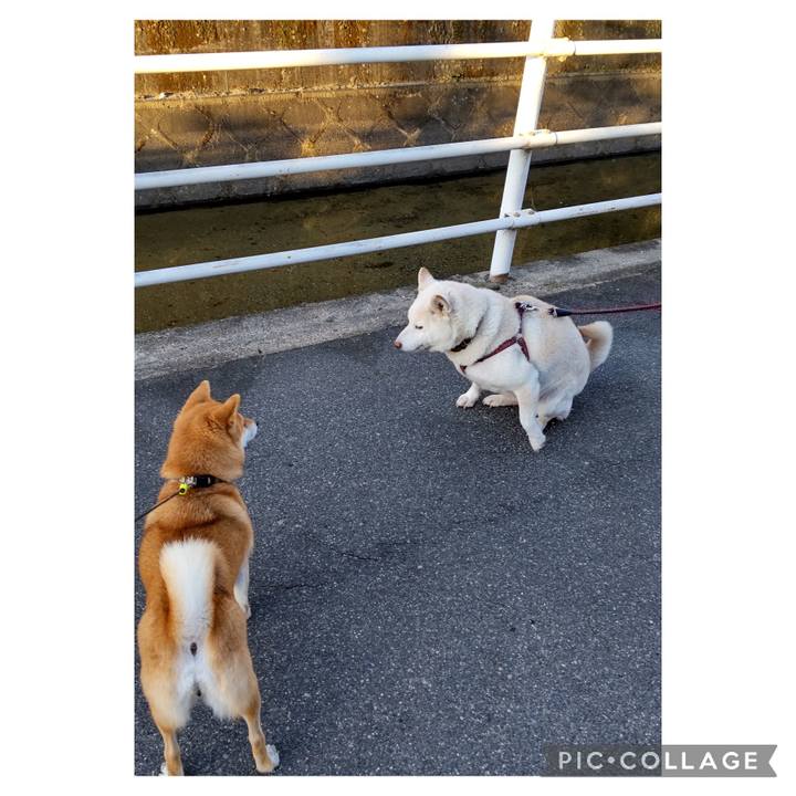 781d5fa5 6b66 4242 9bff d7acedc5e05a 1704070339990