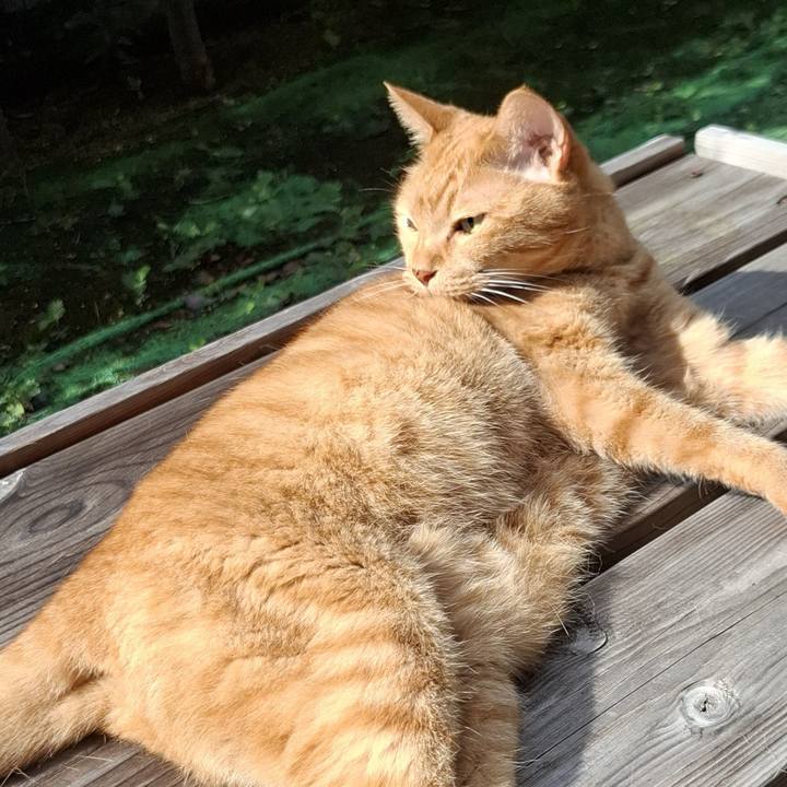 781d81e1 d74a 4bcc 8cbc a08adf8b815d 1725085743394