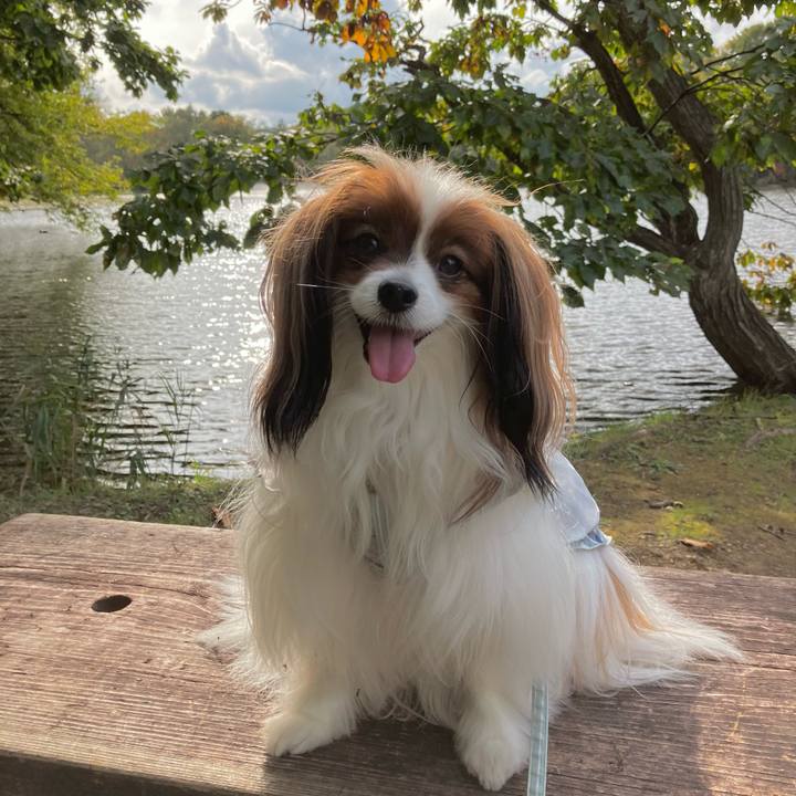 781d8975 84e1 47b8 9341 7ce92ade3066 1697366735249