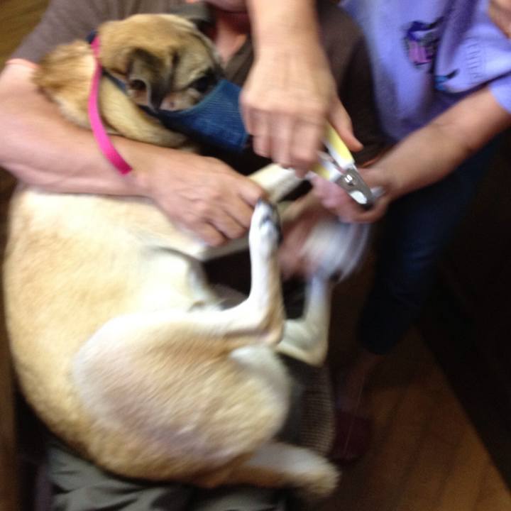 781dac06 f4e3 40fa ba9d 98c8c1d3971e 1512200327010