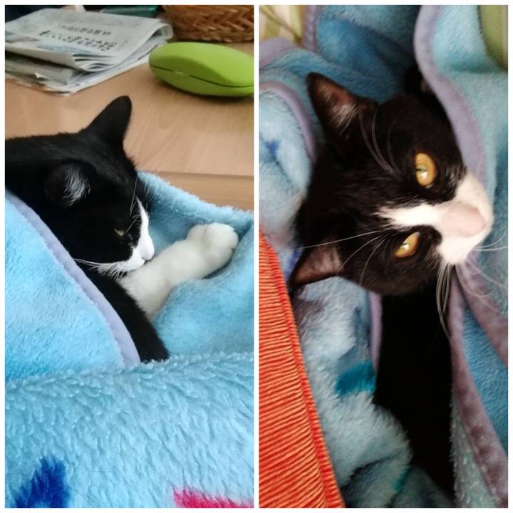 781dfea3 b76e 47d7 907d 5fafcd1f9108 1607093287083