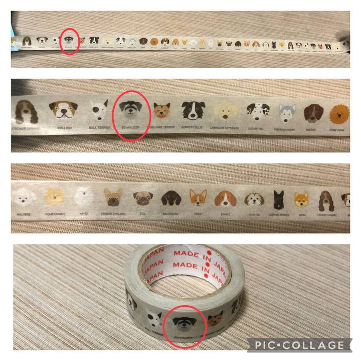 781e051e 22df 4f31 90d6 d52ca9a4e32f 1641474644050